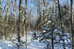 20230206_150156_Fat-Bike