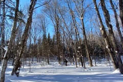 20230206_150740_Fat-Bike