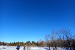 20230206_153420_Fat-Bike