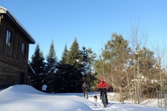 20230206_154158_Fat-Bike