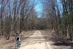 Spring Exploring