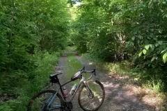 Trying new trails