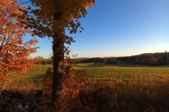 Fall Beauty