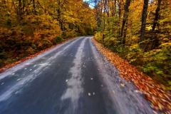 Stisted Road in Fall