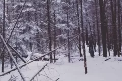 Fatbiking