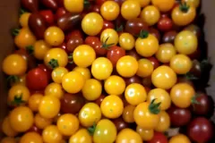 Flavour bombs