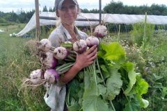 Harvest Time!
