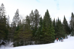 fatbike-distance-spruce-and-field